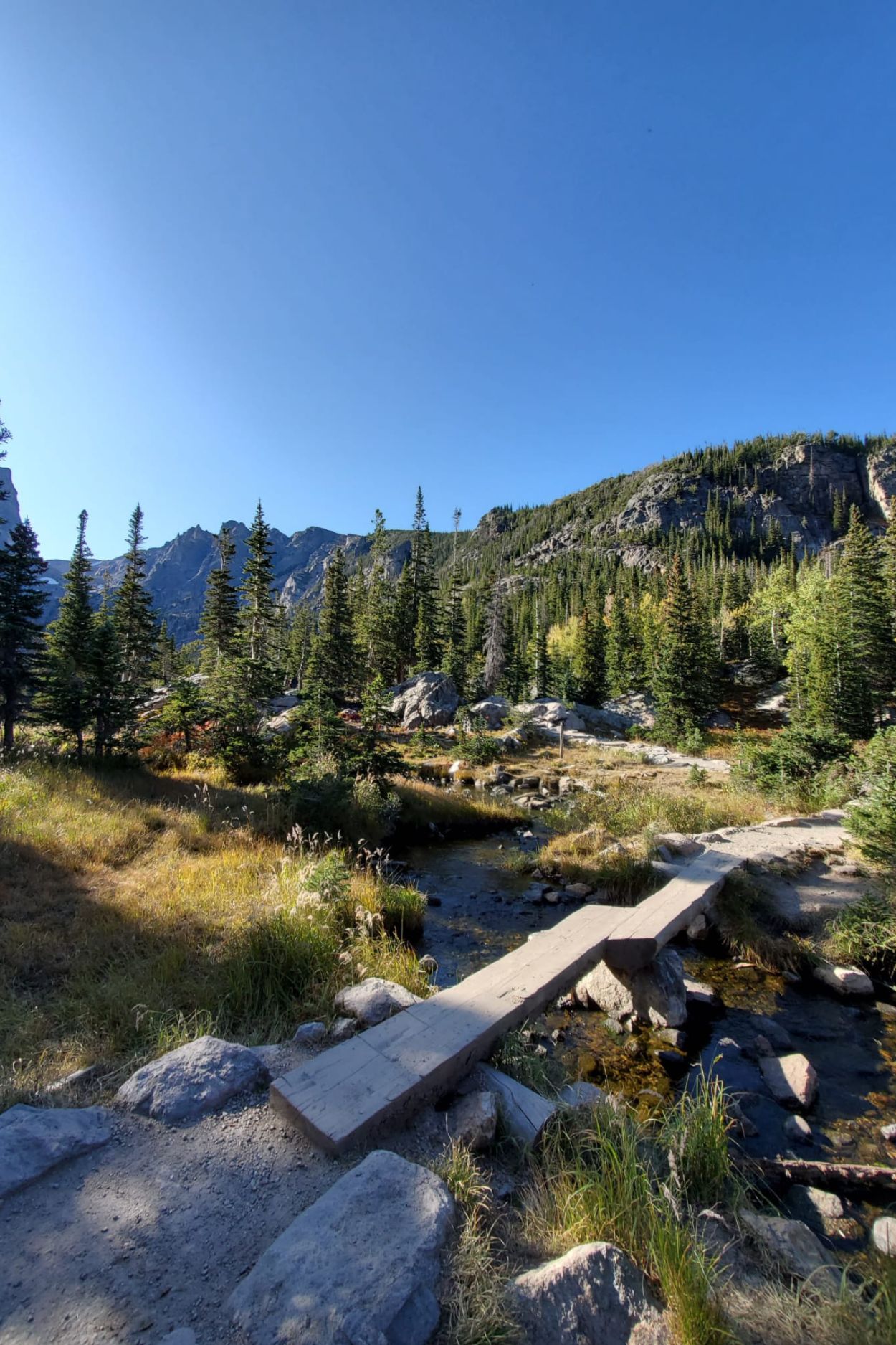 Top Attractions in Rocky Mountain National Park for Families